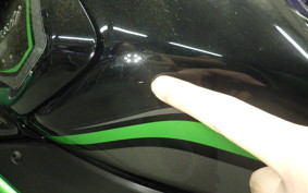 KAWASAKI ZH2 2020 ZRT00K