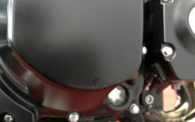 KAWASAKI Z900RS 2021 ZR900C