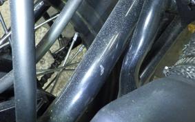 OTHER +UNREGISTERED MODEL by BDS125