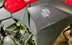 SUZUKI STROM 250 DS11A