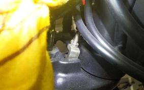YAMAHA XSR155