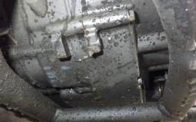 KAWASAKI W175