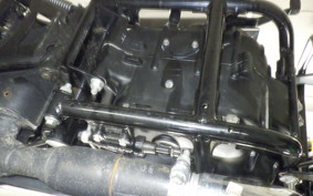 OTHER +ENFIELD ﾒﾃｵ350 2022