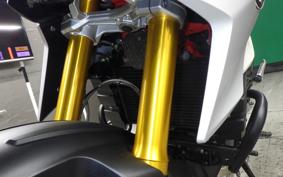 BMW G310GS 2024
