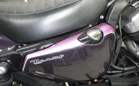OTHER +HD. XL1200X 2010