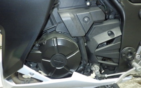 KAWASAKI Z250 2021 ER250C