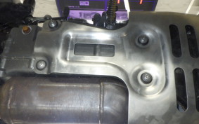 OTHER +HD. ﾊﾟﾝ AMERICA1250S 2022