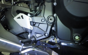 KAWASAKI ZH2 2021 ZRT00K