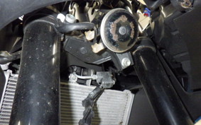 YAMAHA YZF-R25 A 2021 RG43J