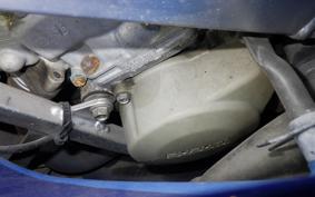 SUZUKI RGV250 Gamma 2025 VJ21A