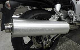 SUZUKI GSX-1300R HAYABUSA 2006