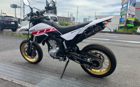 YAMAHA WR250X DG15J