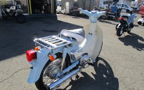 HONDA LITTLE CUB AA01