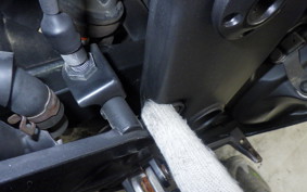 KAWASAKI NINJA 250R 2025 EX250K