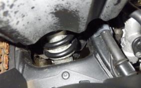 SUZUKI GSX-R125 2007 DL33B