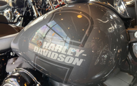 HARLEY FLSB 2021 YMJ