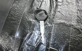 HONDA TACT-4ﾍﾞｰｼｯｸ 2022 AF79