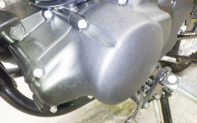 KAWASAKI W175