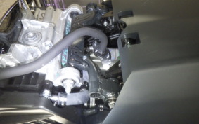 HONDA TACT Basket 2021 AF79