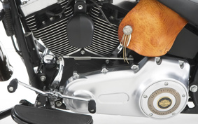 HARLEY  HARLEY FLSTFB 110TH 2013 JN5