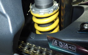 TRIUMPH DAYTONA 675 2009