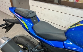 SUZUKI GSX-R1000R ABS 2019 DM11G