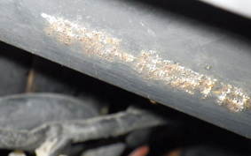 HONDA DIO Gen.6 AF62