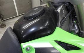 KAWASAKI KLX250 2016 LX250E