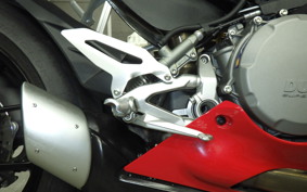 DUCATI PANIGALE V2 2024