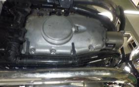 KAWASAKI W800 2019 EJ800A