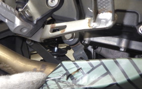 KAWASAKI NINJA 250 2023 EX250P