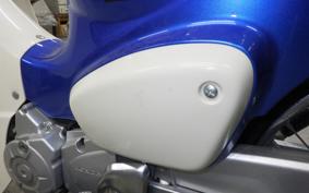 HONDA C110 SUPER CUB JA44