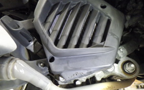 HONDA TACT Basket 2020 AF79