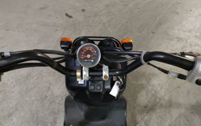 HONDA ZUMAR AF58