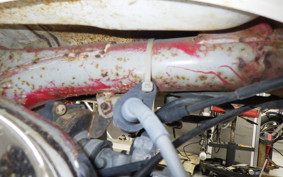 HONDA MONKEY 2007 Z50J