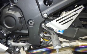 KAWASAKI ZX 1400 NINJA R A 2019