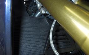 BMW R1250RS 2019