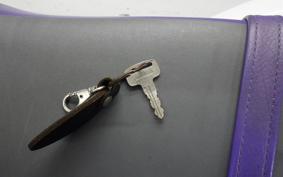 YAMAHA TT250R RAID 4GY