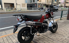 HONDA  DUX 125 JB04