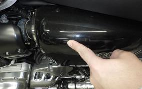 KAWASAKI W800 2024 EJ800E