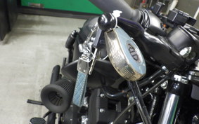 HARLEY XL1200NS 2021