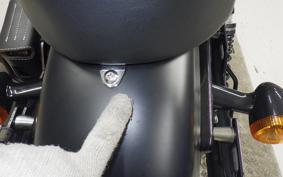 HARLEY XL883N 2020