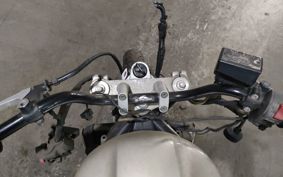 YAMAHA FZS600 FEATHER RJ02