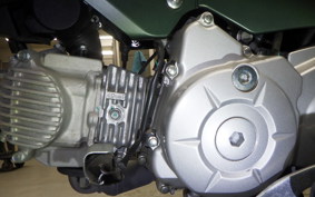 HONDA ｸﾛｽｶﾌﾞ50 AA06