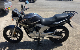 YAMAHA YBR250 PCNL