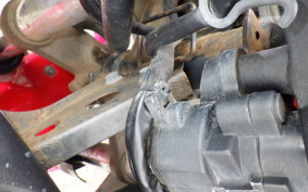 KAWASAKI NINJA 250R EX250K