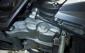 HONDA PCX 125 JF84