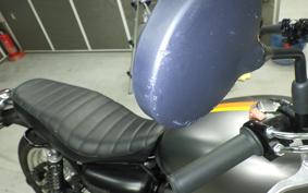 KAWASAKI W800 STREET 2021 EJ800B