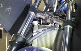 SUZUKI GSX-R125 2007 DL33B