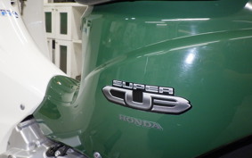 HONDA C110 SUPER CUB 2009 JA07